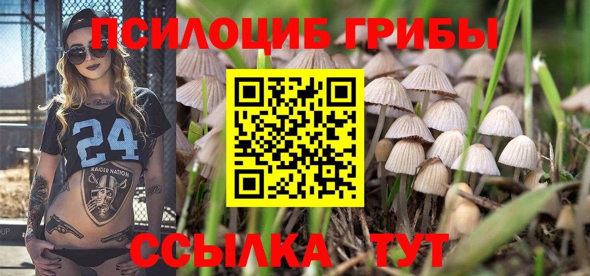Псилоцибиновые грибы мицелий Аксай