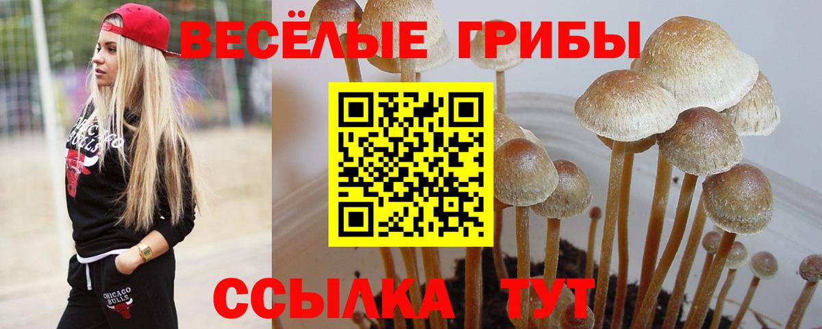 Галлюциногенные грибы ЛСД  как найти закладки  Вход с VPN  Аксай  Псилоцибиновые грибы мухоморы 
